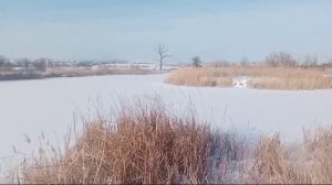 Александр Пушкин. Литературная минутка