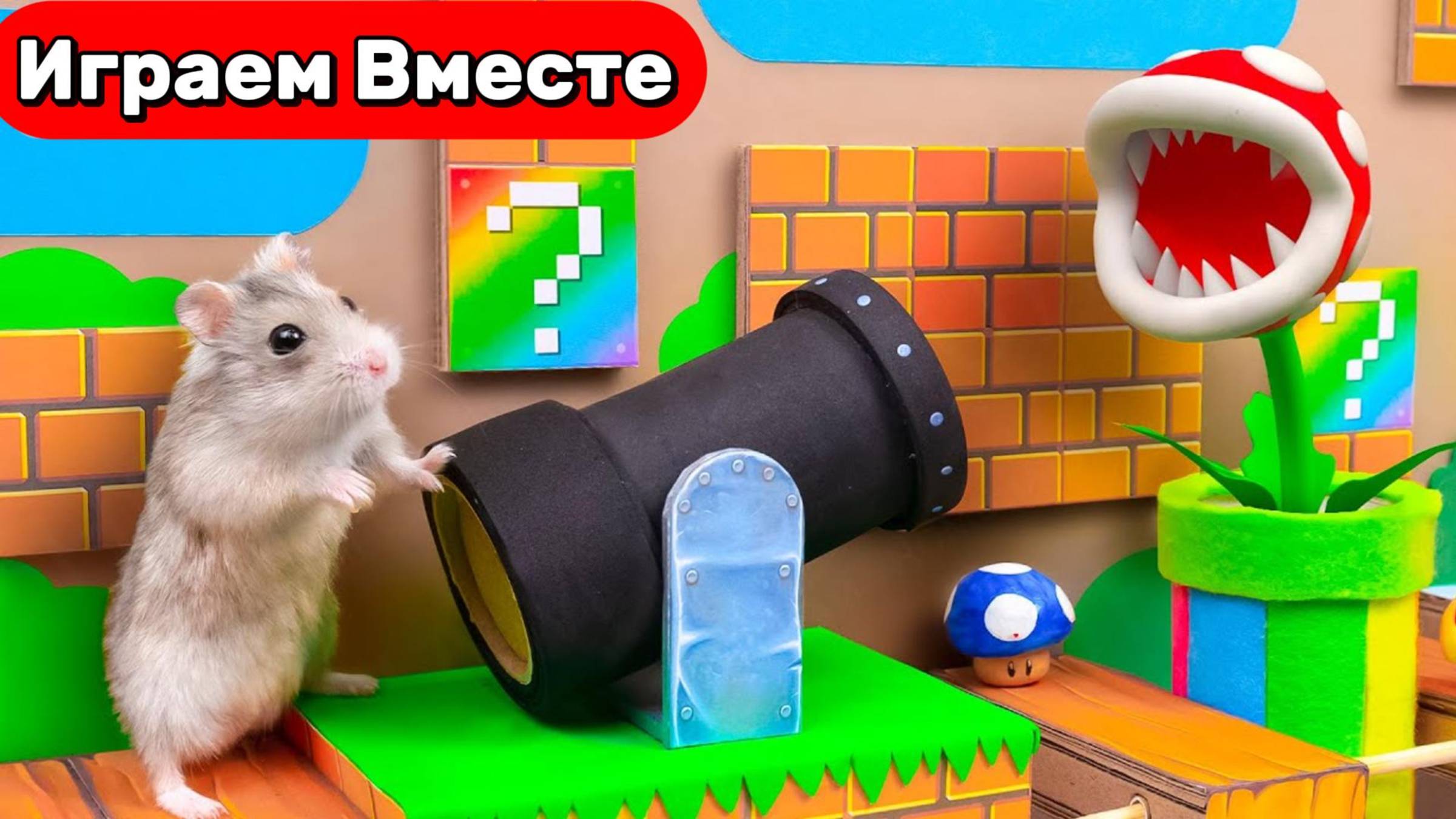 МАРИО ЛАБИРИНТ для Умного Хомяка ! Хомяк попал в ИГРУ ! Выбираемся вместе ! Видео для детей