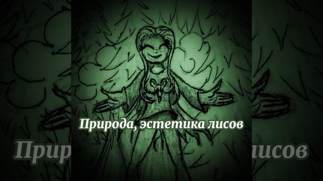 Природа, эстетика лесов🌲#mysic #музыка #раслабляющаямузыка