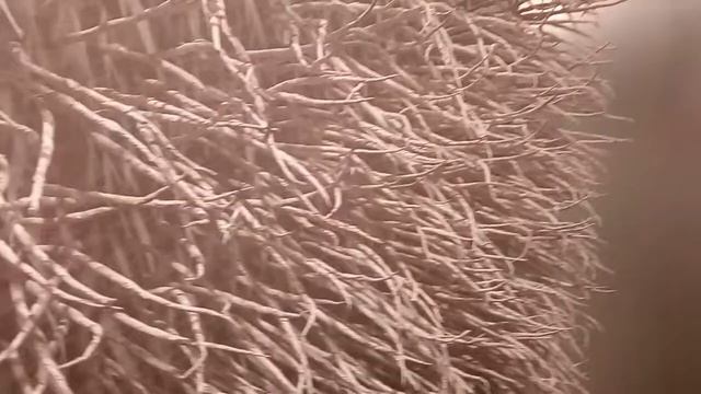 Галерея Ural Vision Gallery смотреть онлайн