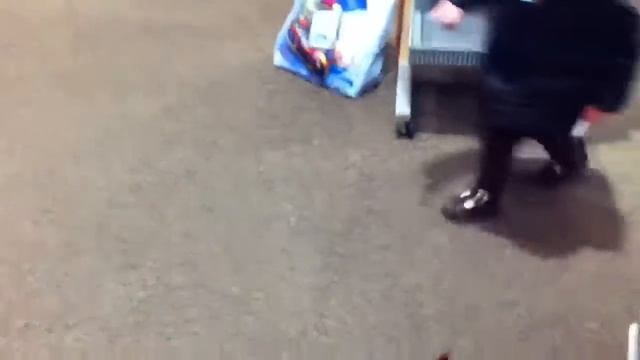 Phoebe VS. Brookstone's Robotic Creepy Crawler смотреть онлайн