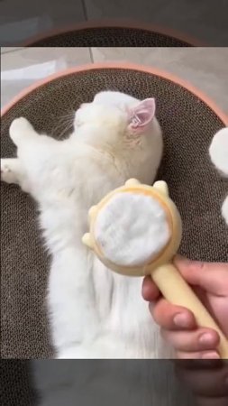 Коротко_о_том,_как_делают_ватные_диски_🙂