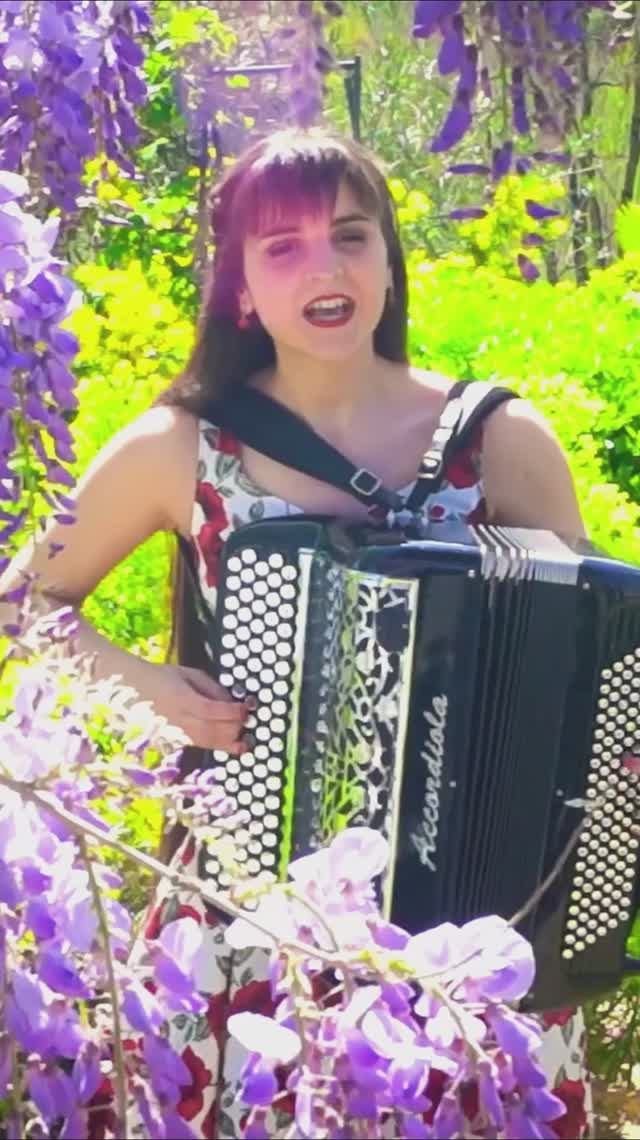 Виновата ли я - Народные Песни Русская Музыка - Марион LMJM #accordion #гармонь #народнаяпесня
