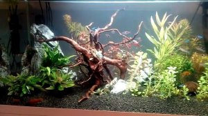 Aquael Opti Set 200 White