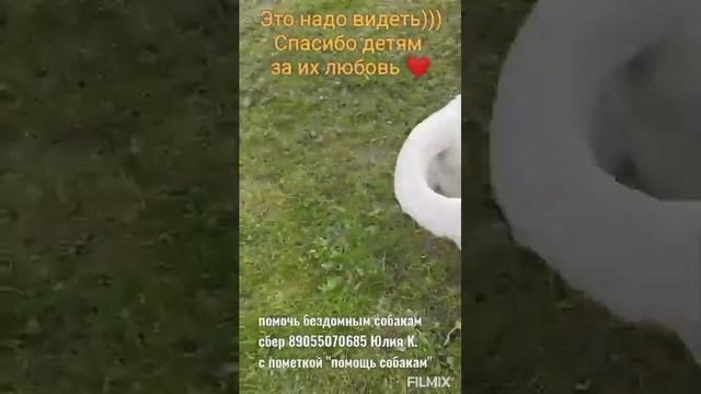 Это надо видеть) 🤗🙏❤️👍💞 смотреть онлайн