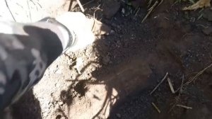 7 дней КоПа на деревне (День6)