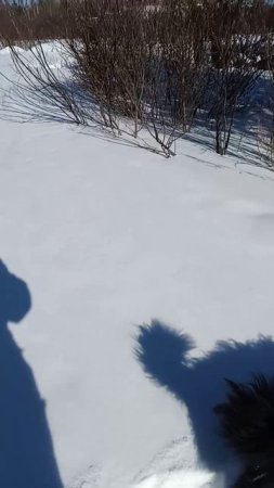 1000038059.mp4