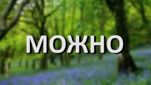 Мс Пох Весений лес