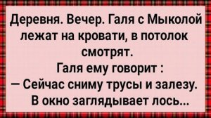 Как Лось На Галю Смотрел! Сборник Свежих анекдотов! Юмор!