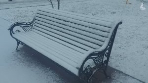 2025_02_Невинномысск зимой