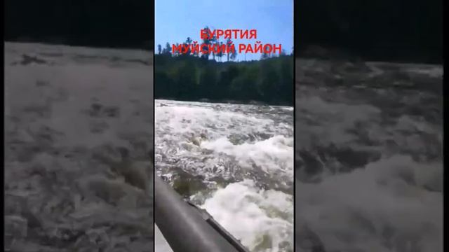 ДИКАЯ ПРИРОДА БУРЯТИИ #shorts смотреть онлайн