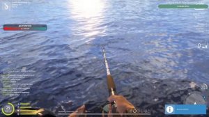 Норвежское море с берега в РР4