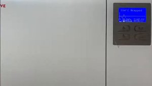 IcanClave STE-29-D –  автоклав класса B с камерой объемом 29 л | Ningbo Ican Machines (Китай)