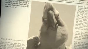 Angry Birds-Рио Найджел Мэшуп