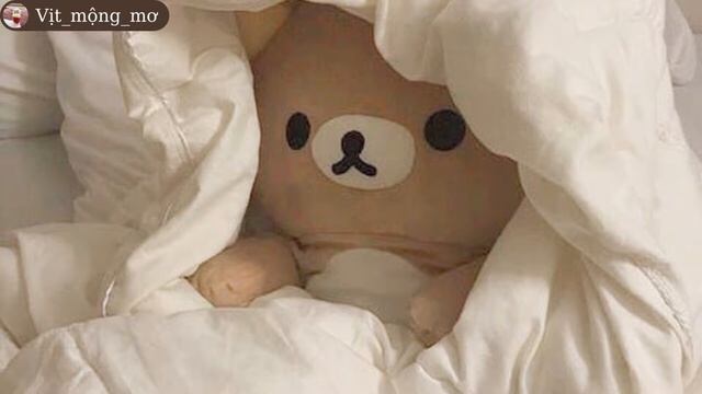 [Playlist] Teddy Bear ~ vit mong mo смотреть онлайн