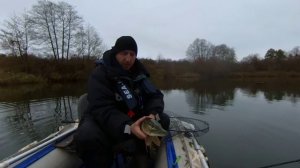 Хороший клёв щуки