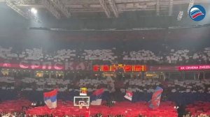 «Русские и сербы — братья навек»: баскетбольный матч превращается в праздник славянского братства