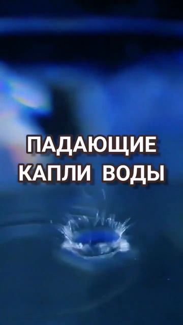 Мудрая притча💭 О поиске тишины 🧘 Elena SvetLova #shorts