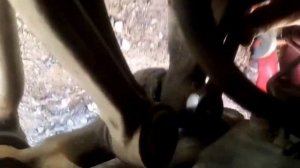 W211 замена нижней шаровой опоры