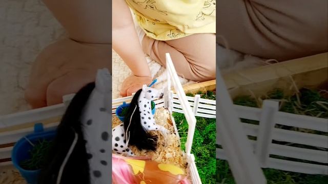 Сенсорная коробочка ЛОШАДИ