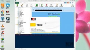 NCH Voxal Voice Changer Crack Full Version