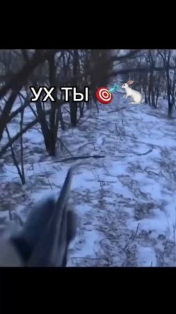 Ух ты 🐇🎯