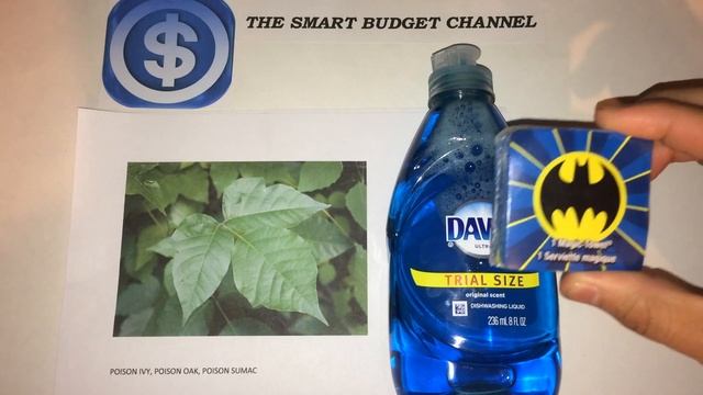 Dollar Tree Life Hack - Poison Ivy Remedy