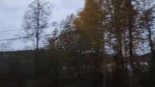 Карелия Сортавальский район Золотая осень Приладожья