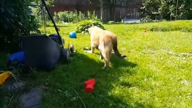 Валенц Хаус Яшма смотреть онлайн