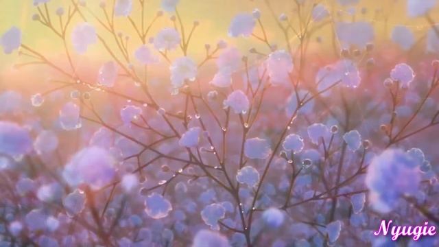Full Moon - Arima Kana - Full song  MV