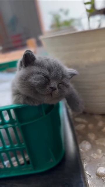 🫶💞Планы на выходные😊