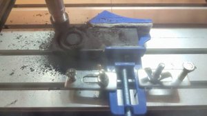 Выполнил кольцо из древесины породы Граб.