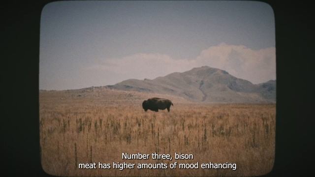 5 Health Benefits of Eating Bison смотреть онлайн