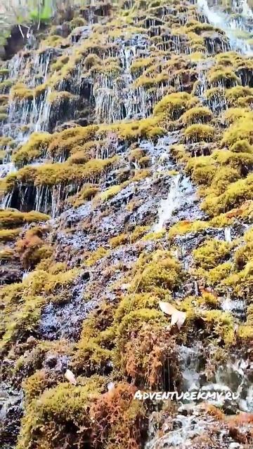 Водопад Хуламо-Безенгийском ущелье. КБР. Индивидуальные экскурсии по Северному Кавказу. +7928347586