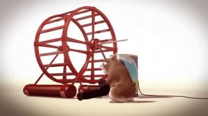 Смешной мультик про хомяка