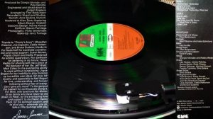 Remember Yesterday - Summer Donna 1977 VINYL DISK