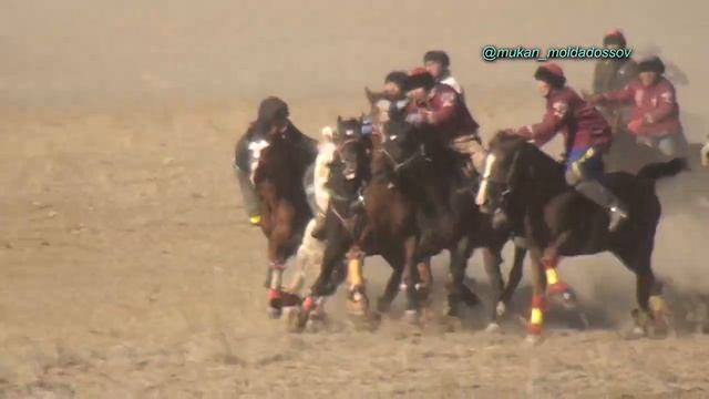 Асыл кажы мырзанын аттары Толеби Назар палуандар Жезказган кокпары