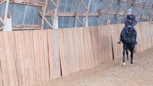 Оксана Новикова и Дольче Вита, самостоятельная работа.#horse, #equestrian, #лошади, #pony,