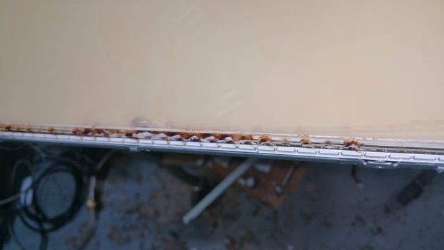 UN65JS8500 Samsung TV overheating/burning/ melting problem. Can it catch on FIRE? WATCH and SHARE. смотреть онлайн