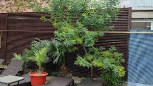 Гостевой дом Адмирал, ул. Калараша, 41, Лазаревское - 2024.