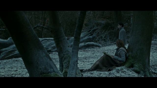 Гаррі й Герміона – Друг смотреть онлайн