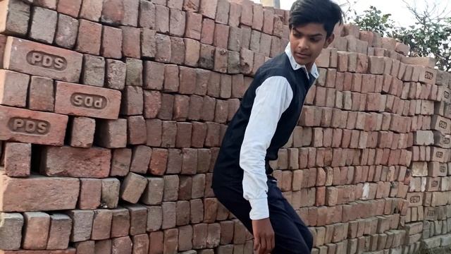 Anaconda Snake in Real Life HD Video || snake video || Snake || Anaconda смотреть онлайн