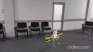 Укрощение воздушного коня.