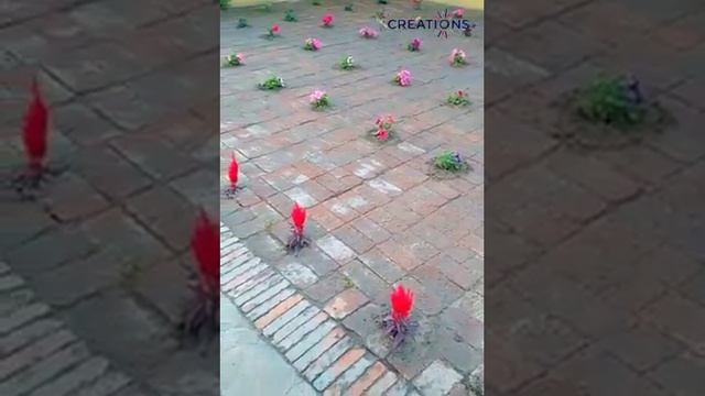 Японский огород