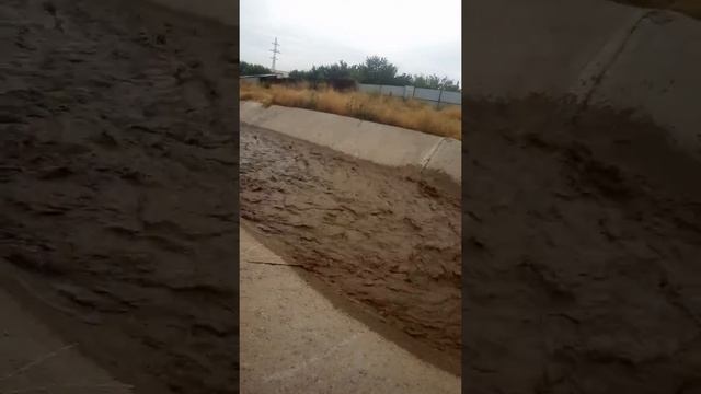 Каргалинка речка смотреть онлайн