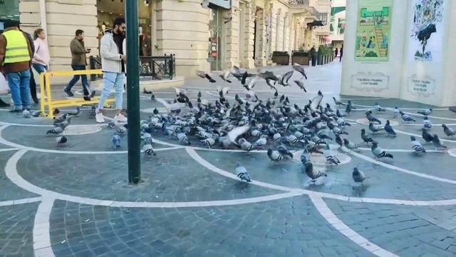 Baku City Tour 2021  Vlog3  Beautiful Place it is  baku azerbaijan bakutour dailyvlog