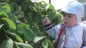 Первая весна.