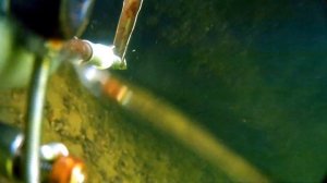 Озеро Павленское