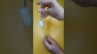 Как сделать правильный инкубатор