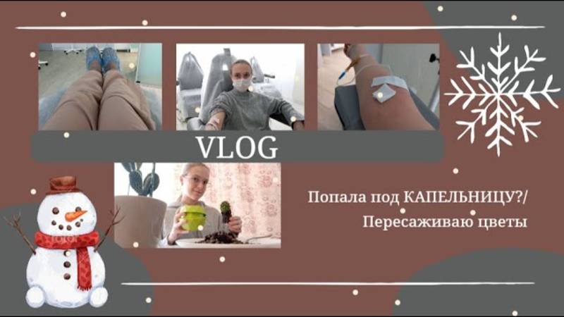 VLOG Попала под КАПЕЛЬНИЦУ?💉 Пересаживаю цветы🪴